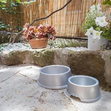 アパート Poerio Home&garden Near The Centre Of *